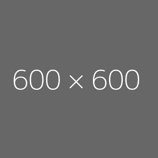 600 x 600px sample image