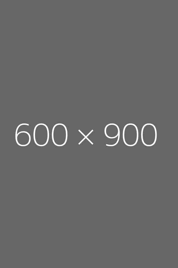 600 x 900px sample image