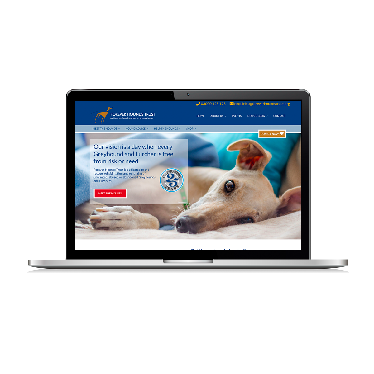 forever hounds trust shop