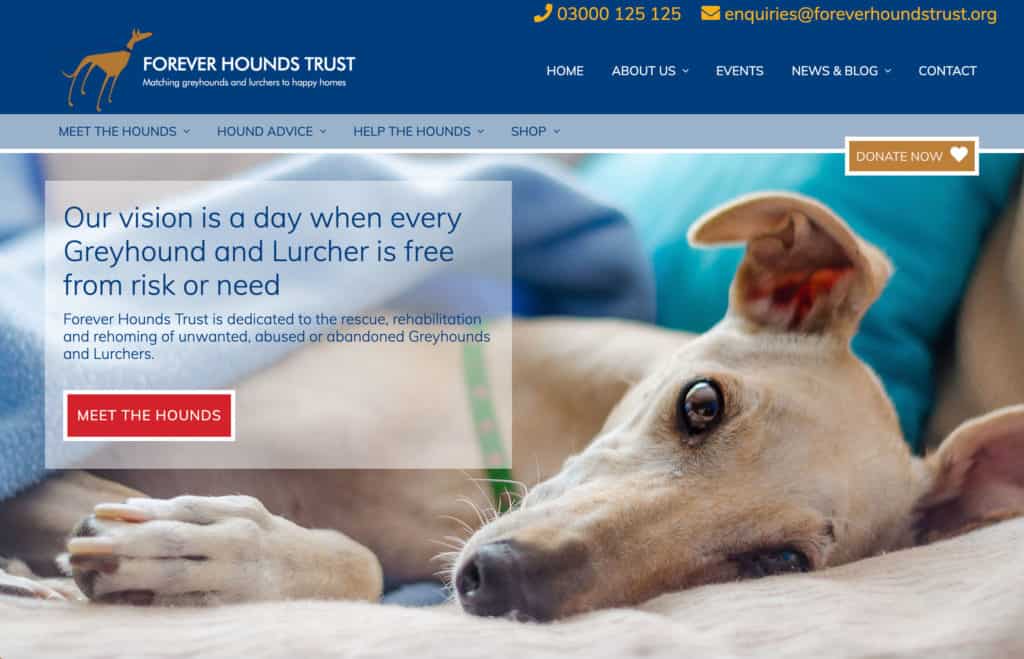 Forever Hounds Trust homepage