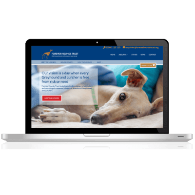 Forever Hounds Trust website