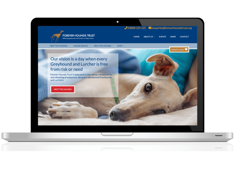 Forever Hounds Trust website