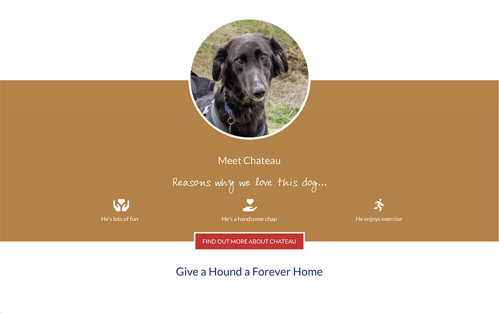 Forever Hounds featured dog