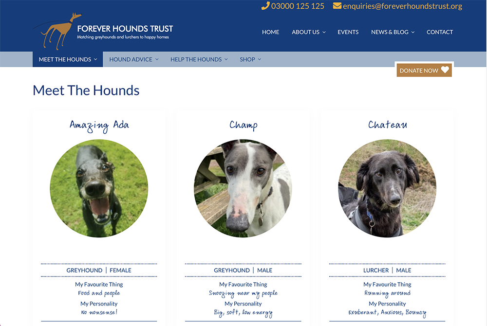 Forever Hounds meet the hounds