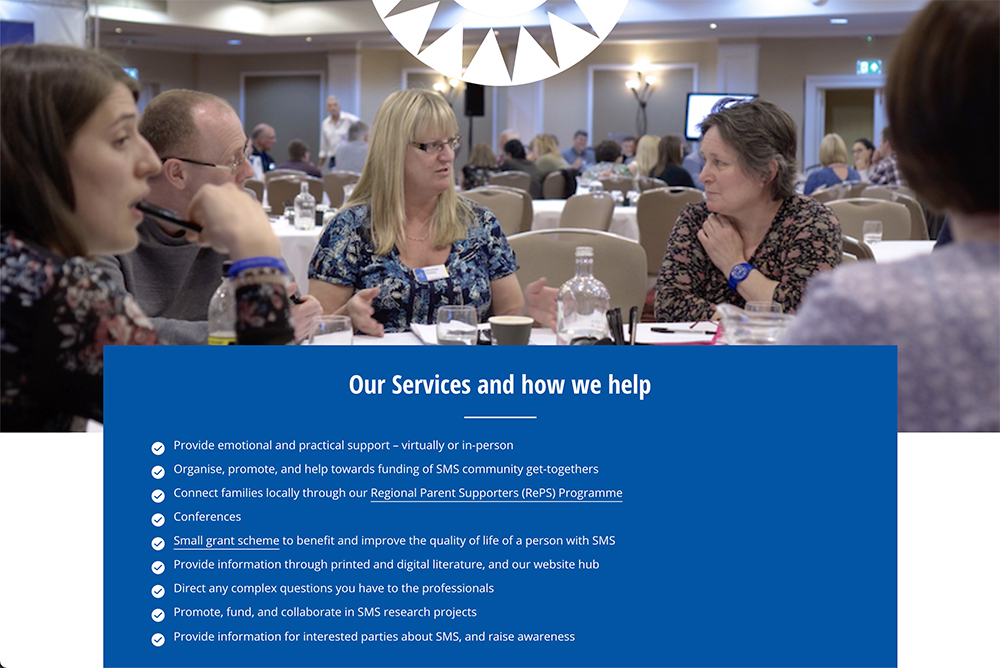 SMS Foundation - our services screen