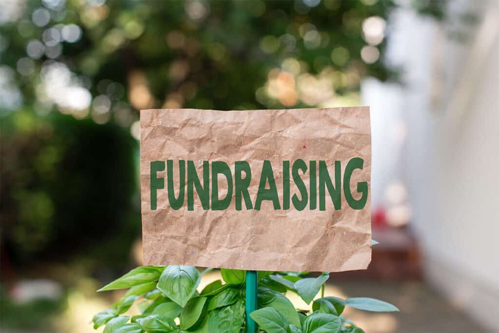 fundraising sign on top of a growing plant